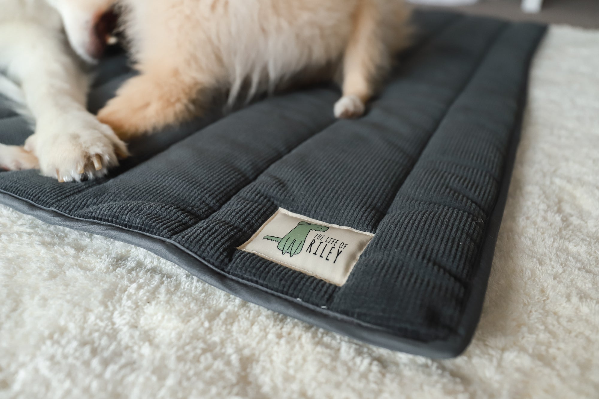 Corduroy Roll Up Dog Mat Life of Riley Pet Products  The Life of Riley