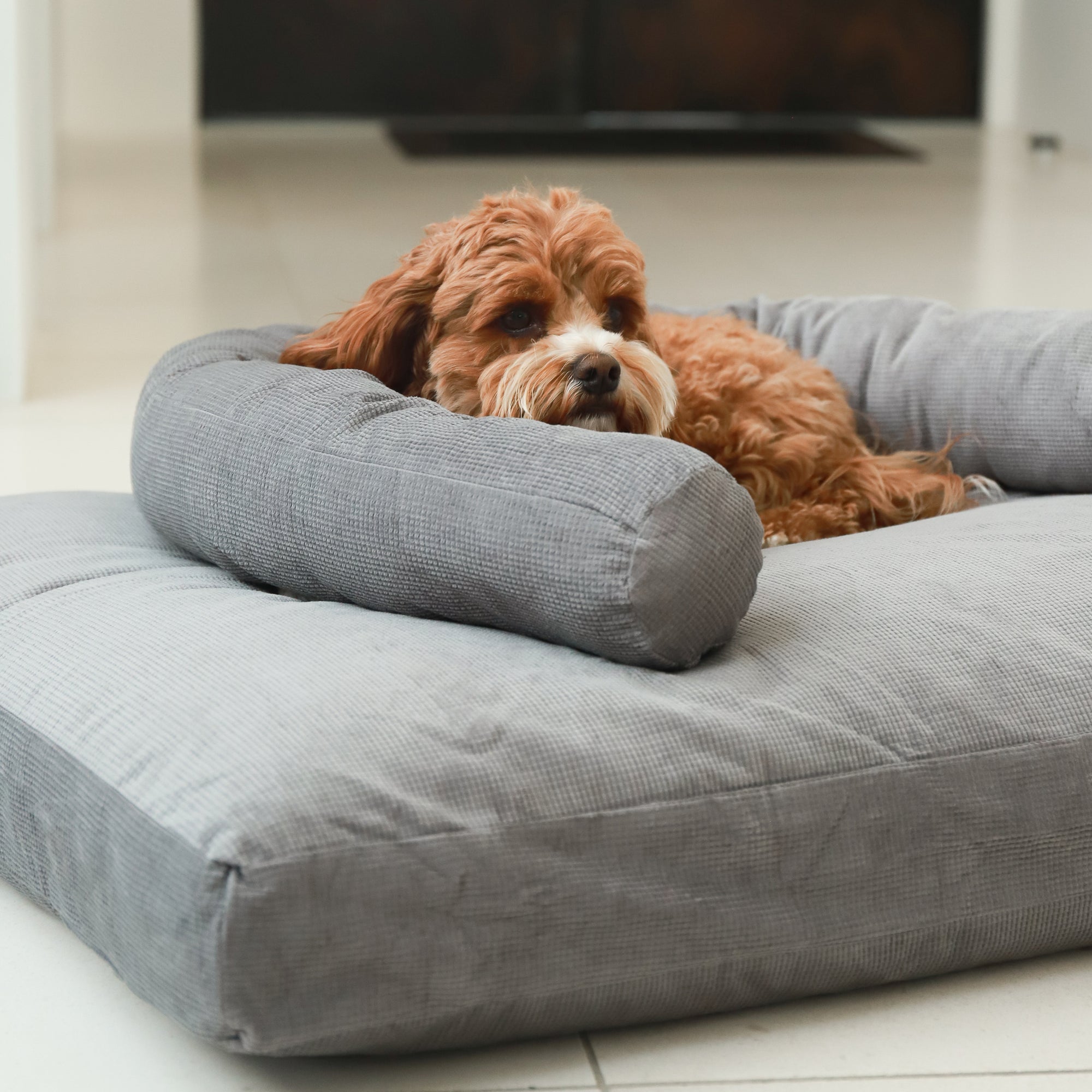 Spare Cover - The Original Dog Bed Life of Riley Pet Beds Dog Bed Covers The Life of Riley