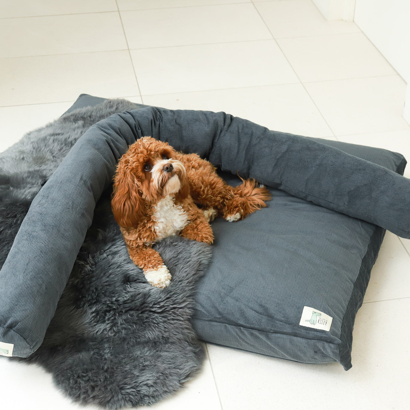 Luxury Dog Bed Bundle The Life of Riley  The Life of Riley