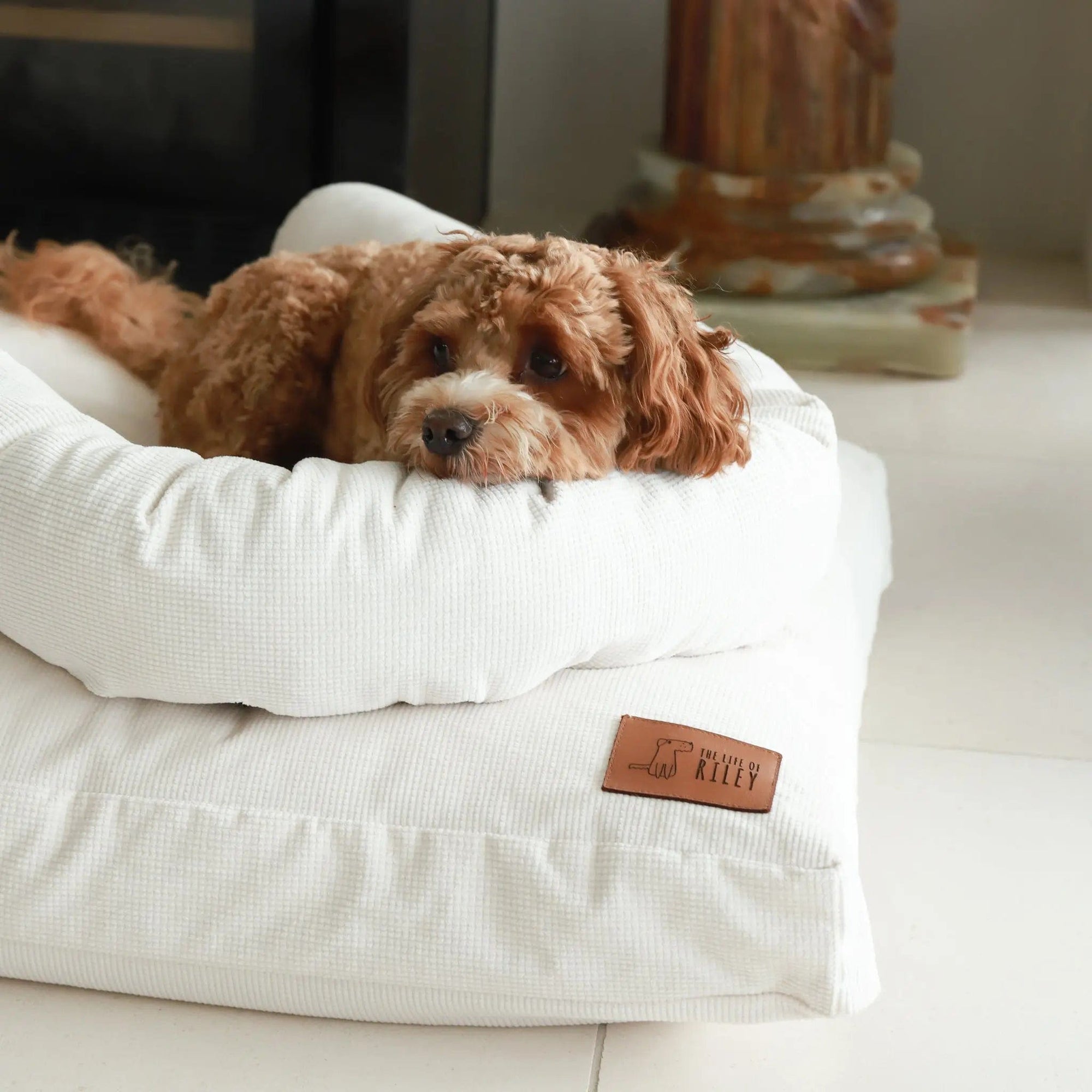 Spare Cover - The Original Dog Bed Life of Riley Pet Beds Dog Bed Covers The Life of Riley