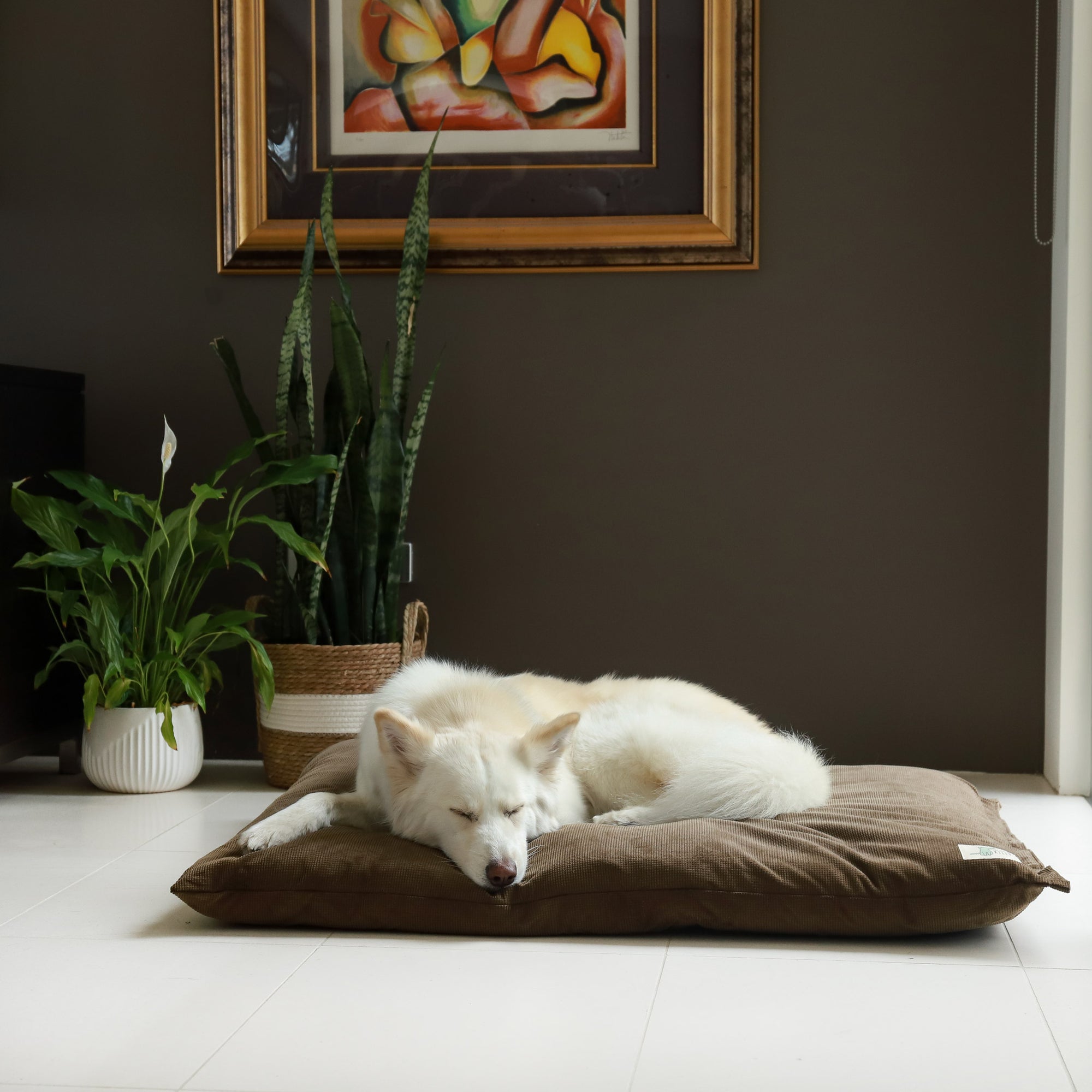 Spare Cover - The Swag Bed Life of Riley Pet Beds Dog Bed Covers The Life of Riley