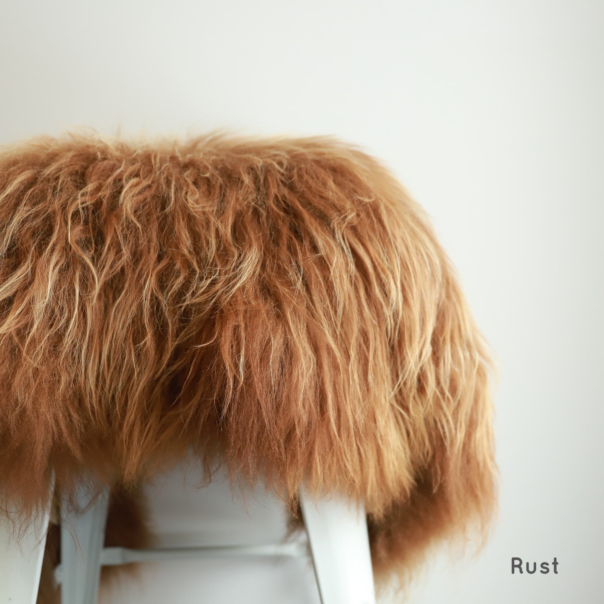 Premium Natural Icelandic Sheepskins Life of Riley Pet Products  The Life of Riley