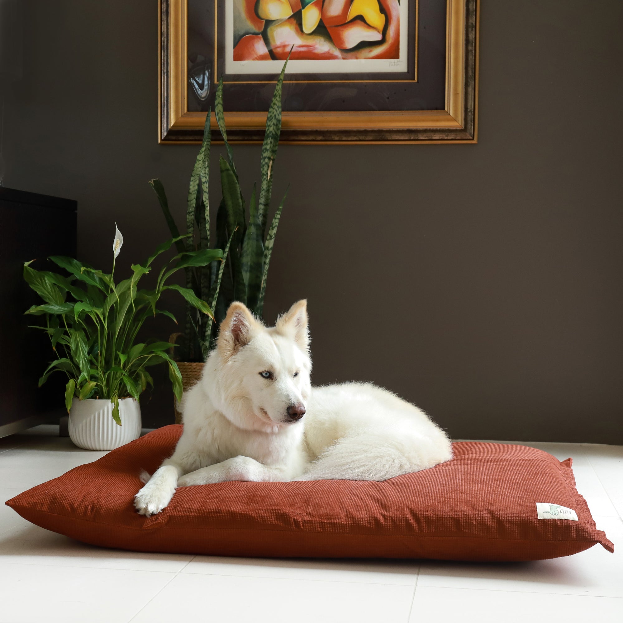 Spare Cover - The Swag Bed Life of Riley Pet Beds Dog Bed Covers The Life of Riley