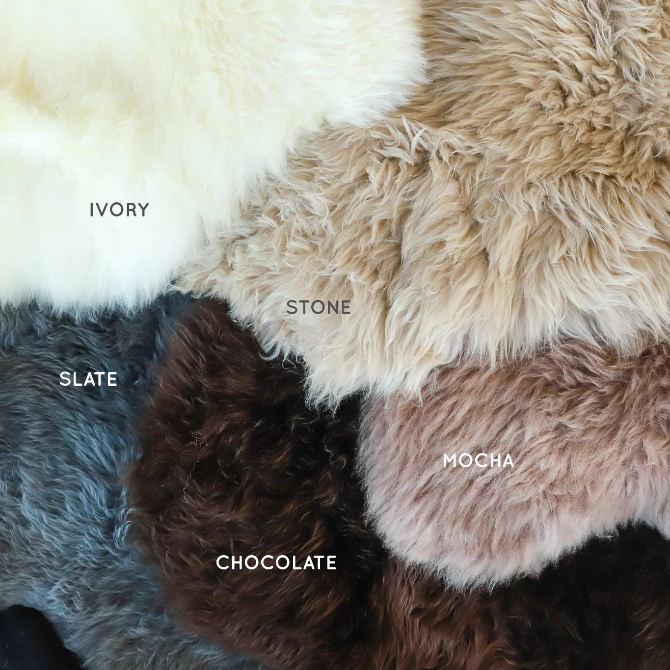 Luxury Dog Bed Bundle The Life of Riley  The Life of Riley