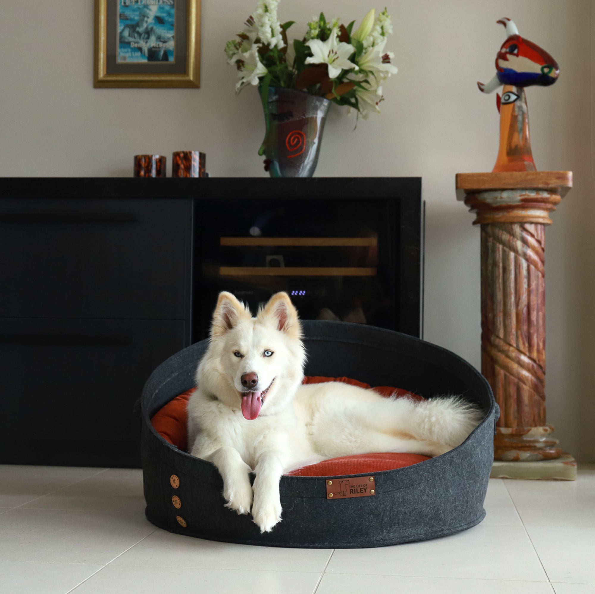 Spare Cover - The Pod Bed Life of Riley Pet Beds Dog Bed Covers The Life of Riley