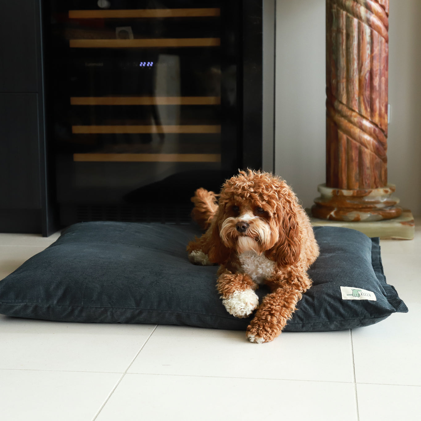 Spare Cover - The Swag Bed Life of Riley Pet Beds Dog Bed Covers The Life of Riley