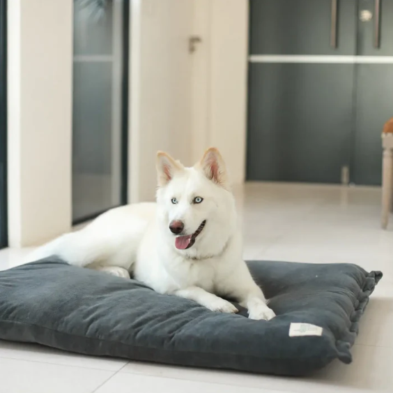 Wool Filled Dog Beds - Large , Medium and Small