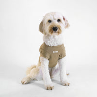 BOSS Dog Essentials Short Sleeve Crewneck The Life of Riley  The Life of Riley