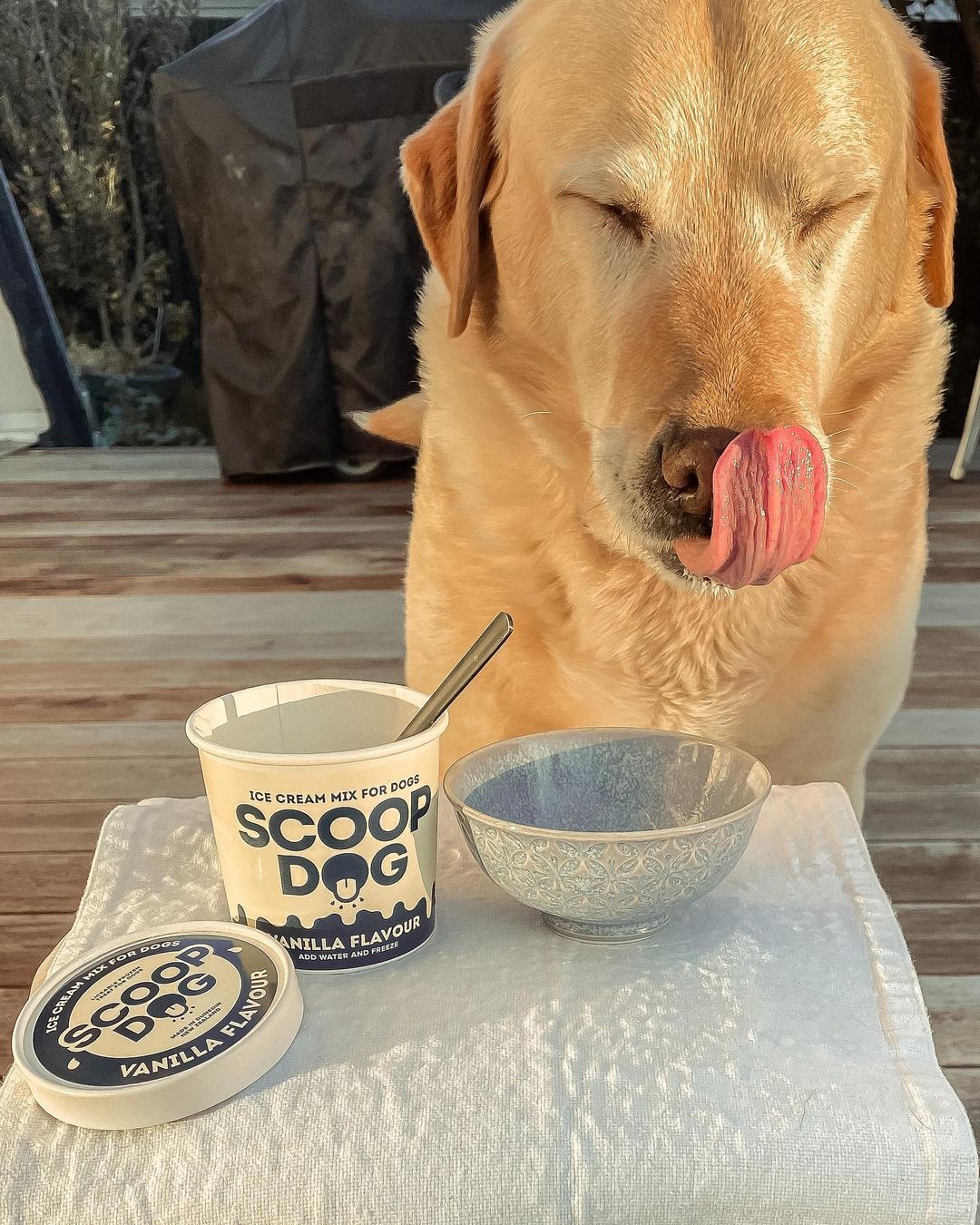 Scoop Dog Ice Cream