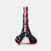 Tommy Hilfiger Color-Blocked Harness The Life of Riley Animals & Pet Supplies The Life of Riley