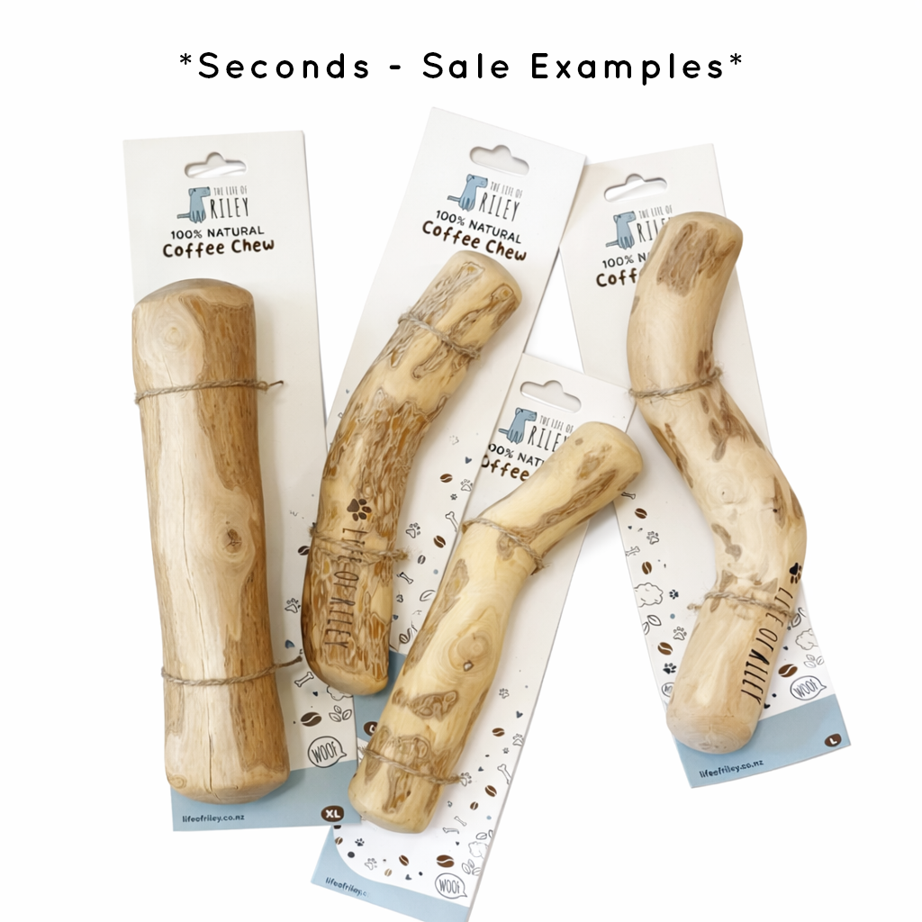 Coffee Wood Chew