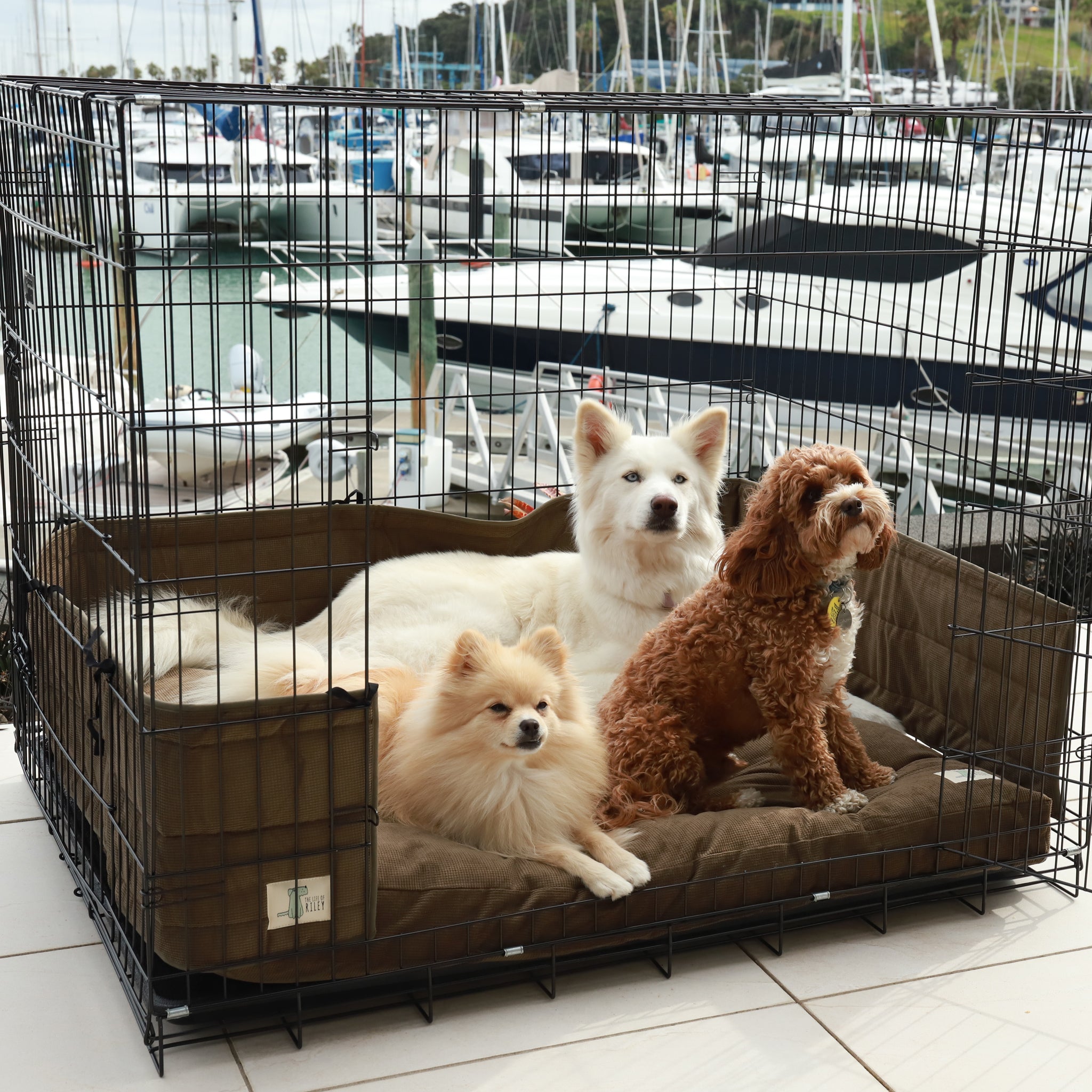 Puppy crate best sale