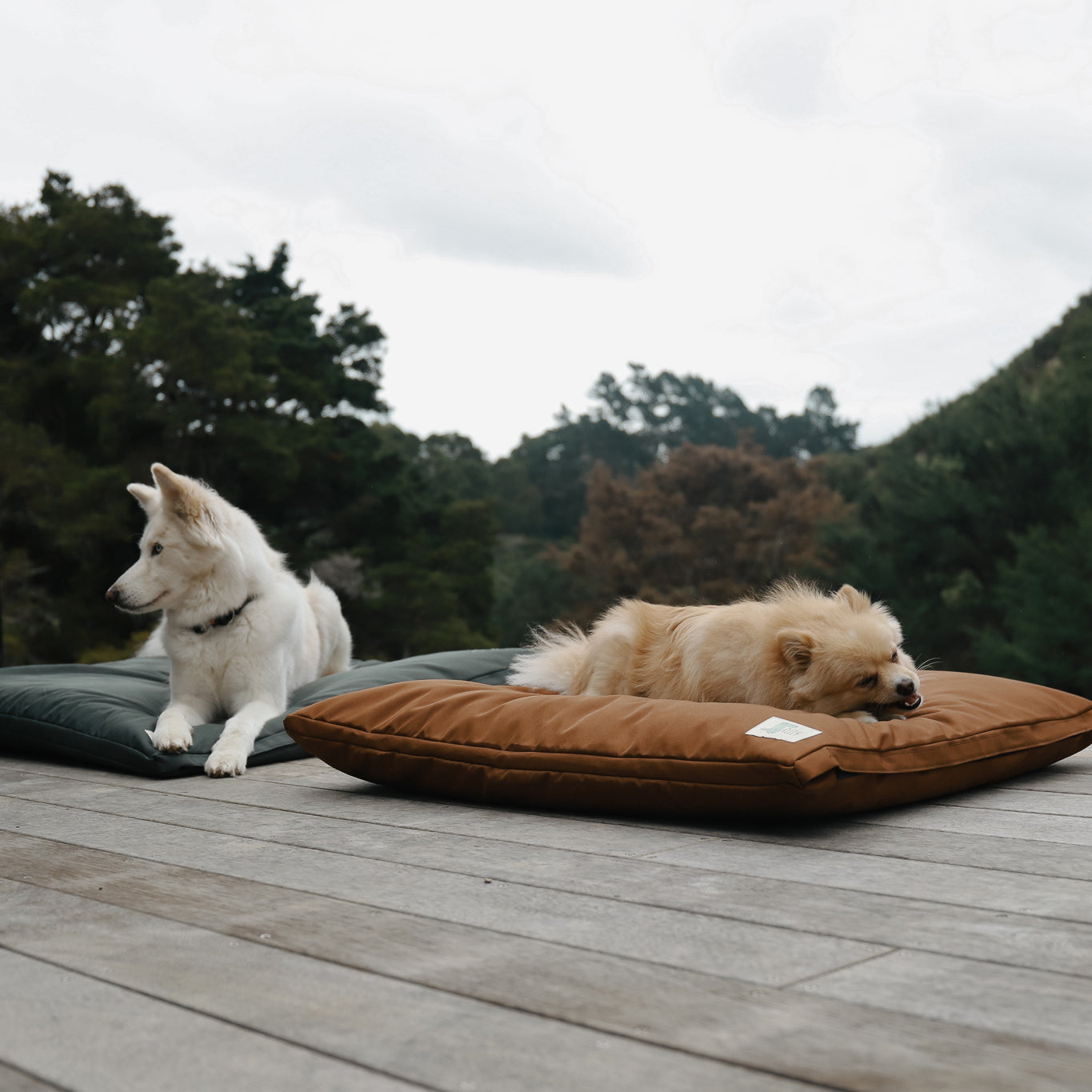 The Outdoor Bed