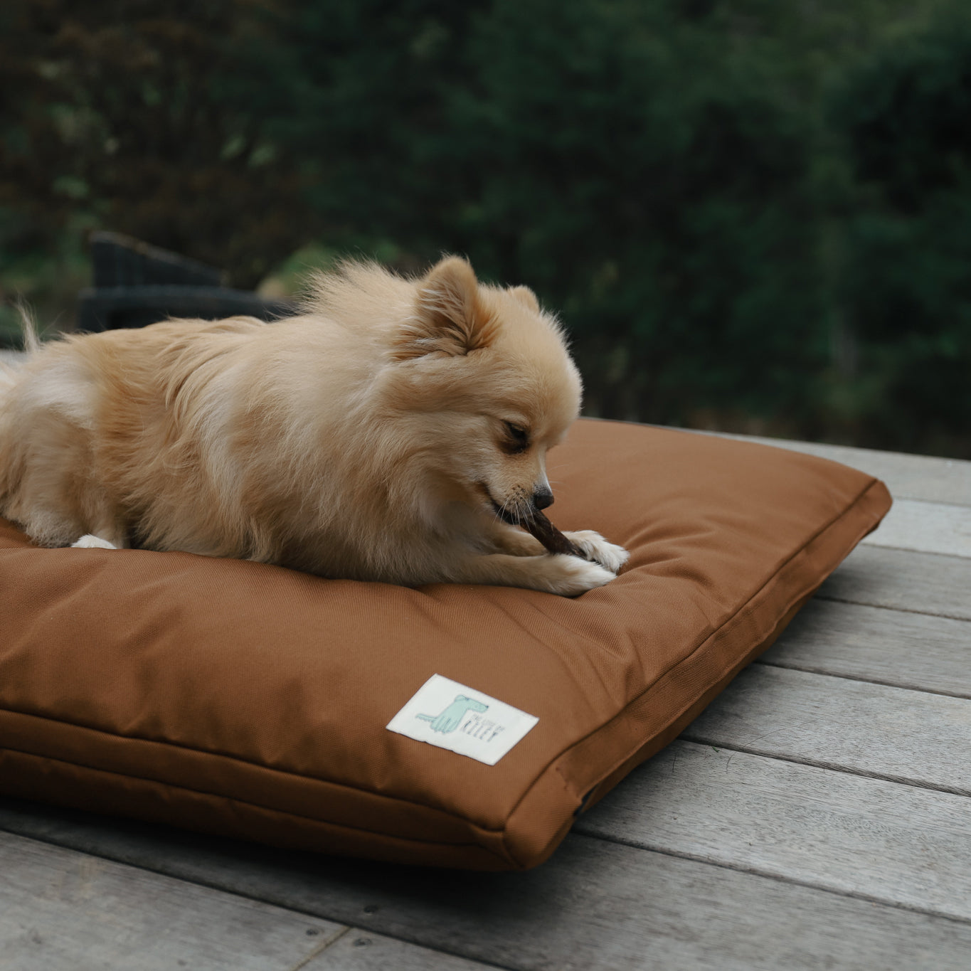 The Outdoor Bed