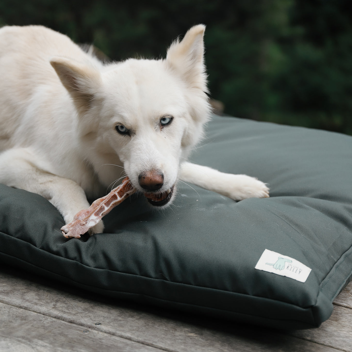 The Outdoor Bed