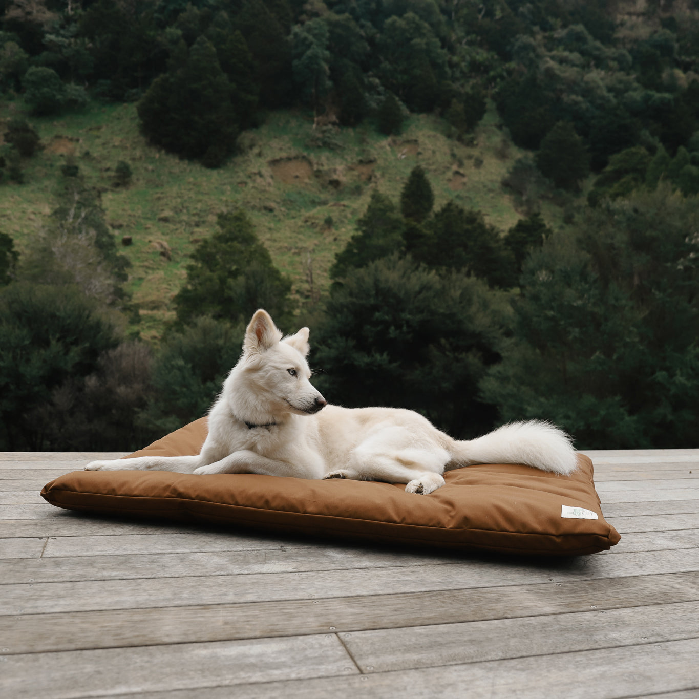 The Outdoor Bed